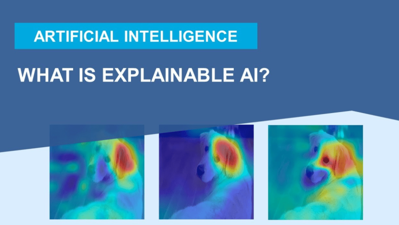 Explainable AI: Making Machine Learning Decisions Transparent