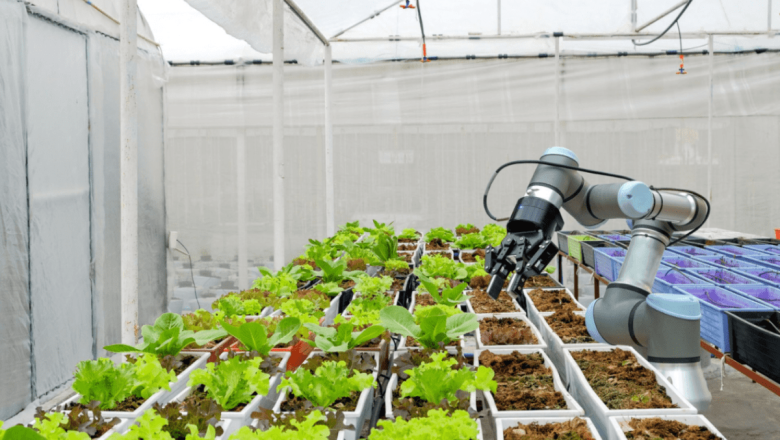 Robotics in Farming: Large Production