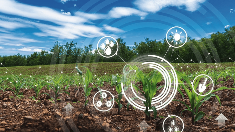 Smart Agriculture Using IoT and AI